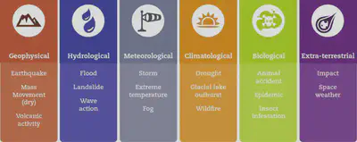 Natural Hazards Subgroups and Types in the IRDR Peril Classification and Hazard Glossary, Source: [EM-DAT](https://doc.emdat.be/docs/data-structure-and-content/disaster-classification-system/)